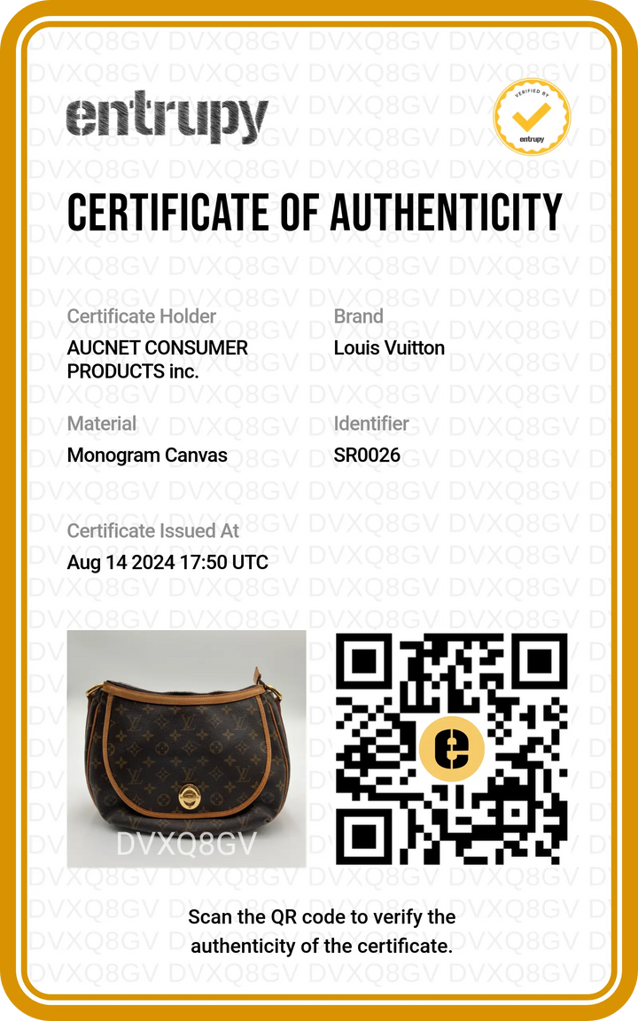 LOUIS VUITTON Monogram Tulum PM Shoulder Bag - BAGPHIC