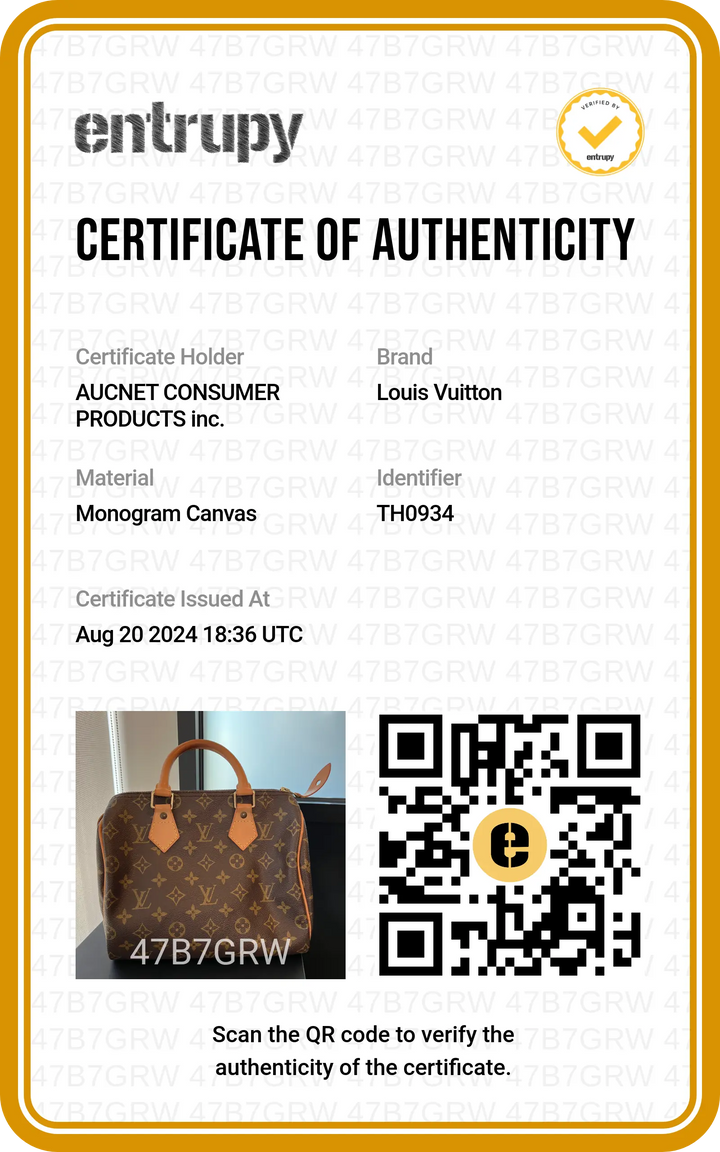 LOUIS VUITTON Monogram Speedy 25 Handbag LOUIS VUITTON