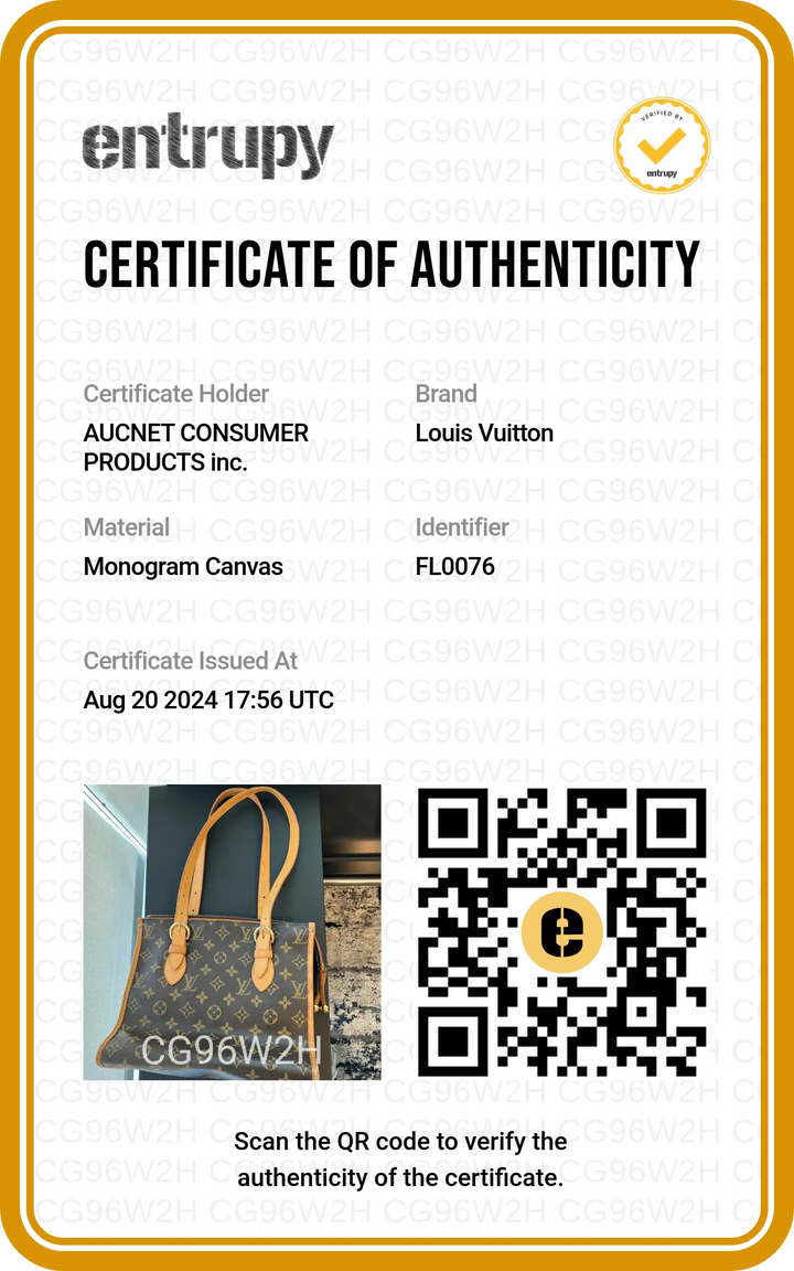 LOUIS VUITTON Monogram Popincourt Haut Bag (Copy) LOUIS VUITTON